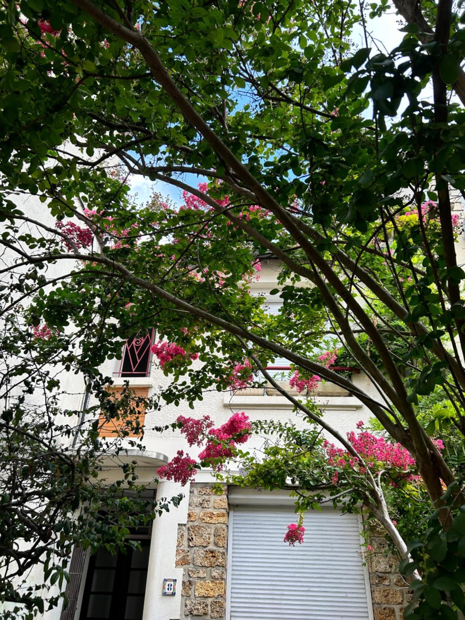 21m2 Equipe Et Meuble Centre Massy
